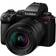 Panasonic Lumix DC-S5 II + 20-60mm + 50mm