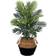 Nearly Natural Areca Palm Green Artificial Plant