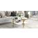 Hudson & Canal Otto Transparent Coffee Table 32x32"