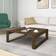 vidaXL 816001 Brown Oak Soffbord 100x100cm
