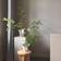Georg Jensen Bloom Botanica Silver Vas 19cm