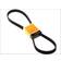 Contitech Drive Belt 202330395
