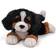 Gund Randle Dog Bernese Mountain 33cm