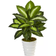 Nearly Natural Dieffenbachia Green Artificial Plant