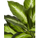 Nearly Natural Dieffenbachia Green Artificial Plant