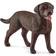 Schleich Labrador Retriever Female 13834