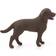 Schleich Labrador Retriever Female 13834