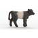 Schleich Galloway Calf 13969