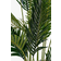 House Nordic Areca Green Kunstig plante