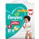 Pampers Baby Dry Pants Size 6 15+kg 58pcs