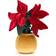 Jellycat Amuseable Poinsettia 24cm