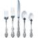 Oneida Michelangelo Cutlery Set 45