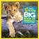 National Geographic Little Kids Big Book of Animals (Hardcover, 2010)