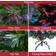 The Christmas Workshop Fibre Optic Artificial Green Julgran 90cm