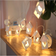 House Led White String Light 10 Lamps