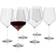 Eva Solo Legio Nova Magnum Red Wine Glass 30.4fl oz 6