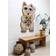 Bongusta Lucky Cat Beige 60x100cm