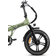 Rattan 750W Electric Bike for Adults