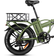 Rattan 750W Electric Bike for Adults