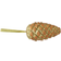 Europalms Pinecone Gold/Bronze Julgranspynt 18cm