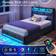 Rolanstar Bed Frame With LED Lights Twin