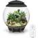 Biorb Air 30 Terrarium