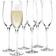 Holmegaard Cabernet Champagne Glass 29cl 6pcs