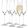 Holmegaard Cabernet Champagne Glass 29cl 6pcs