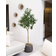 Nearly Natural Artificial Olive Green Artificial Plant