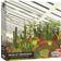 Gibsons Brutalist Conservatory 500 Pieces