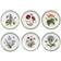 Portmeirion Botanic Garden Assiett 21.5cm 6st