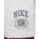 Nike Sportswear Club Fleece Women's Mid-Rise Graphic Shorts - Birch Heather