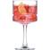 Pasabahce Elysia Cocktail Glass 50cl
