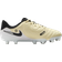 Nike Jr. Tiempo Legend 10 Academy MG - Lemonade/Metallic Gold Coin/Black