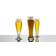 Schott Zwiesel Bavaria Beer Glass 65cl 6pcs