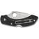 Spyderco SPC28PBK2 Fickkniv
