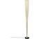 Foscarini Mite Anniversario Black Golvlampa 185cm