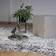 Novel My Phoenix Grey 200x290cm