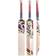 Kookaburra Beast 6.2 Short Handle Adult Cricket Bat