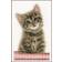 Vervaco Au Point Compte Chat Kit 18x28cm