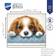 Vervaco Dog Counted Stitch Kit 21x28cm