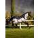 LeMieux Arika Shower-Tek Fly Rug - Navy