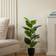 Scottish Everlastings Real Touch Rubber Tree Artificial Plant