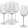 Alpina - White Wine Glass 37cl 6pcs