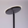 Paul Neuhaus Hans Black Golvlampa 193cm