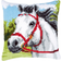 Vervaco White Horse Cross Stitch Tapestry Kit
