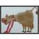 Riolis Embroidery Kit Picture Fashion