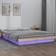 vidaXL 820007 Small Double Sengeramme 120 x 190cm