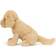 Jellycat Tilly Golden Retriever 27cm