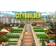 Citybuilder (PC)